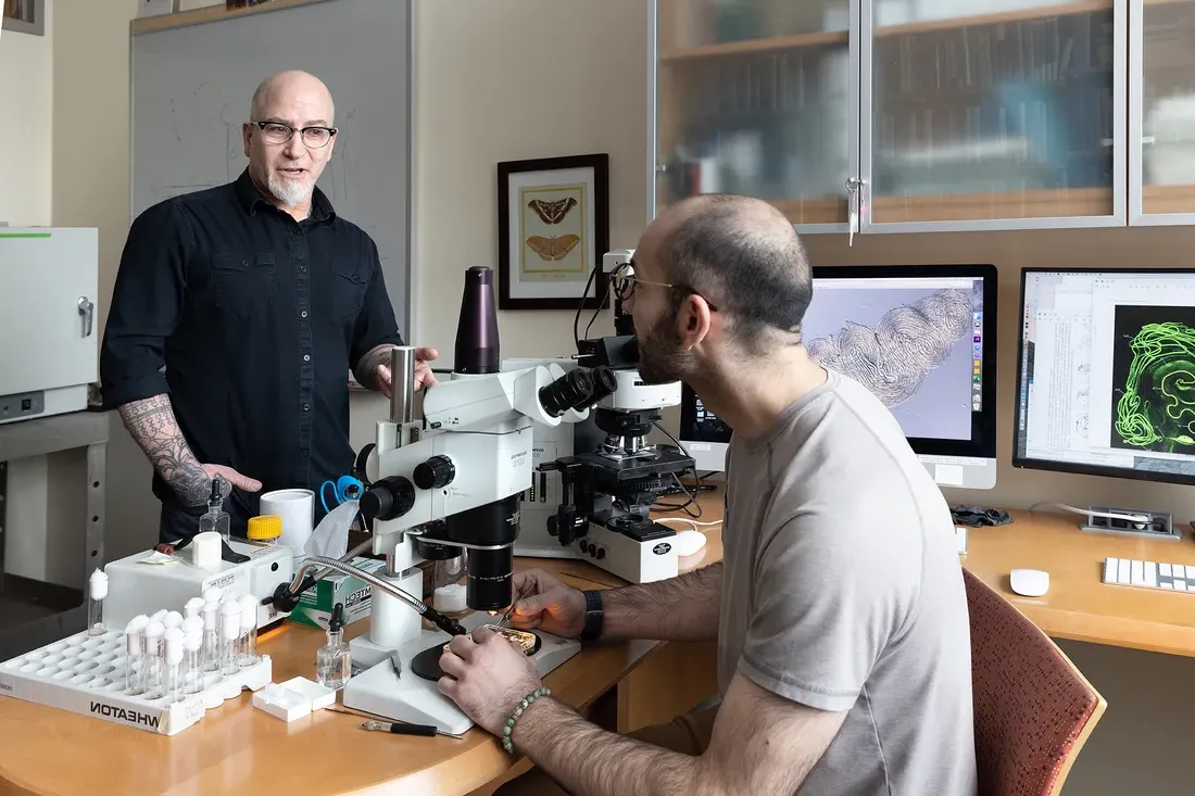 两位科学家在实验室里用显微镜一起工作.